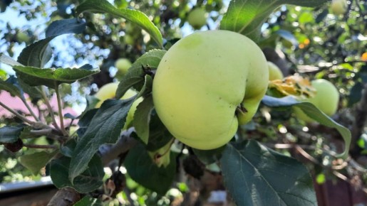 ������������ ������� � ��������� ����: ������� ������� � ������