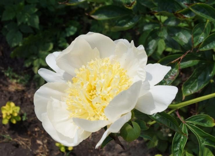 ��� ���������� ����������� ���� ������ � ��������� ���� ���������