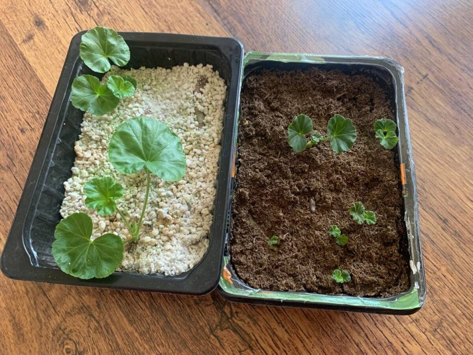 ��� ��������� ���������� ����: ��������� ������������