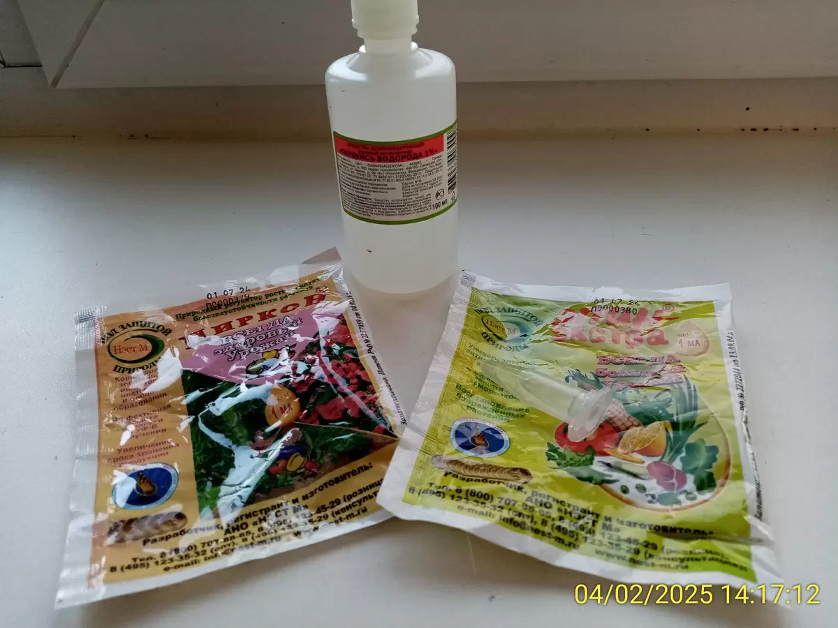 Как добиться успешного прорастания семян: секреты для каждого садовода