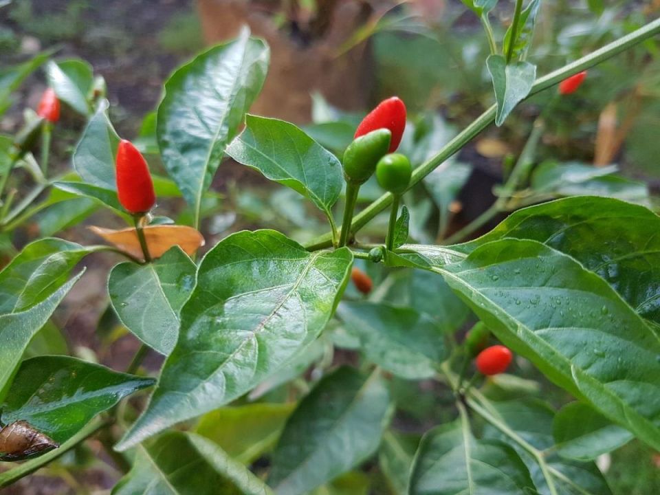 ��� ���� ����� ����� ����� ������ ������ � ������� ��� ������ �����