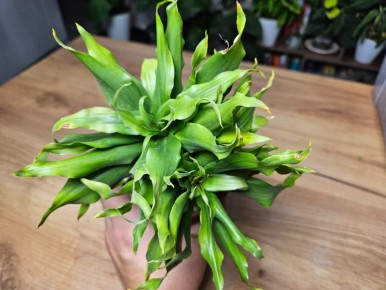 ����� ���������� �������: ��� ������� ���� ��������� �������� �������