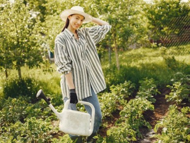 ��� ������ ������ �� �������� ����: ������ ������������