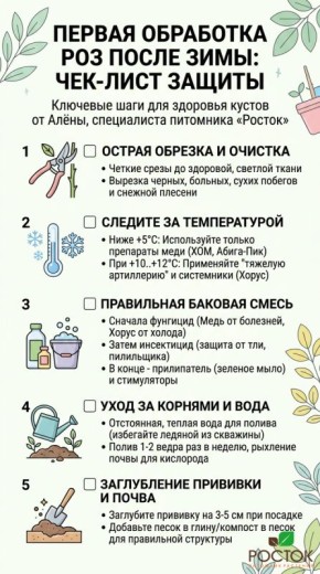 ��� ����������� ���� � ��������� ��������: ������ �� ��������� � �����