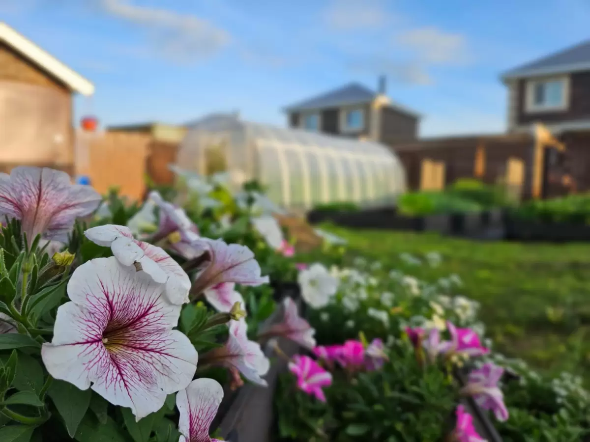 Зима в помощь: пять товаров для сада и огорода, которые стоит купить заранее