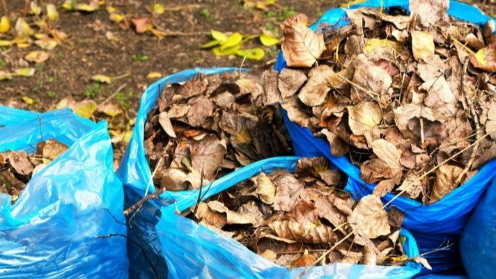 ��� ����������� ������ �� ������: ������������ ���� ��� ����