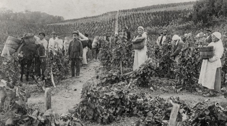 ��� ���� ����� �������� ���������� �������������� �������� ���������