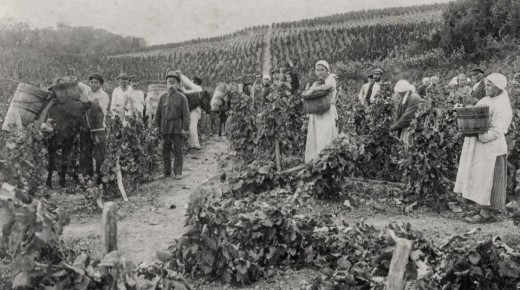 ��� ���� ����� �������� ���������� �������������� �������� ���������