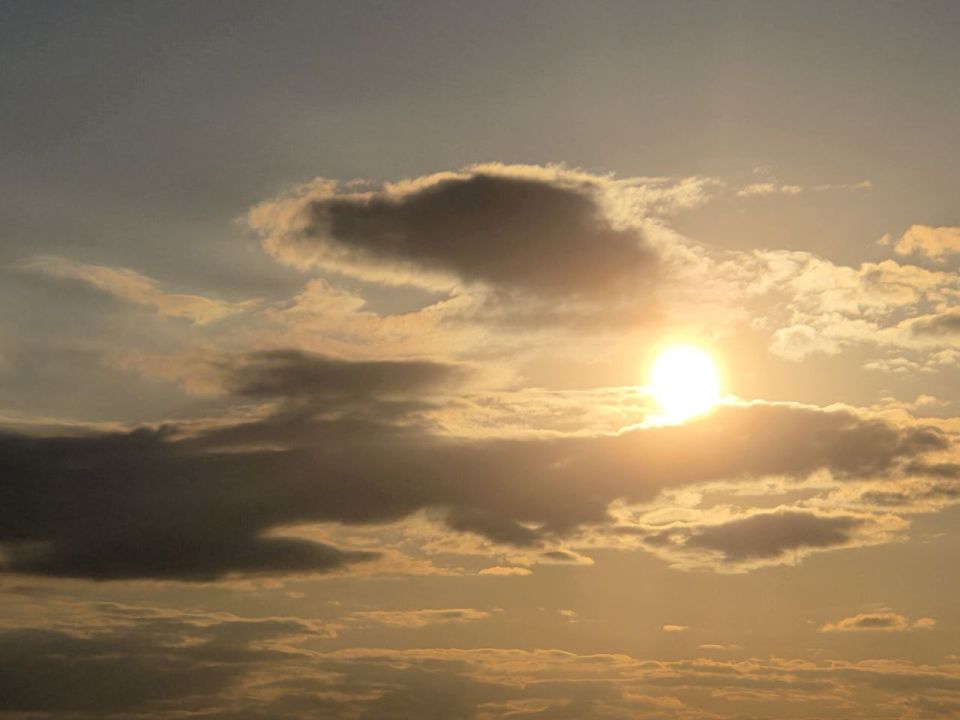 ������ ����, ��������!. �� ��������� 11 ������