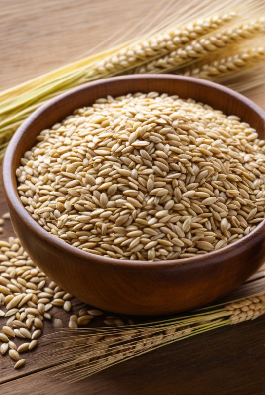 ������� �����: ������� ���� � ������������ �������������� ��� ��������