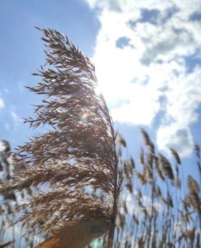 � ����������� �������� �����