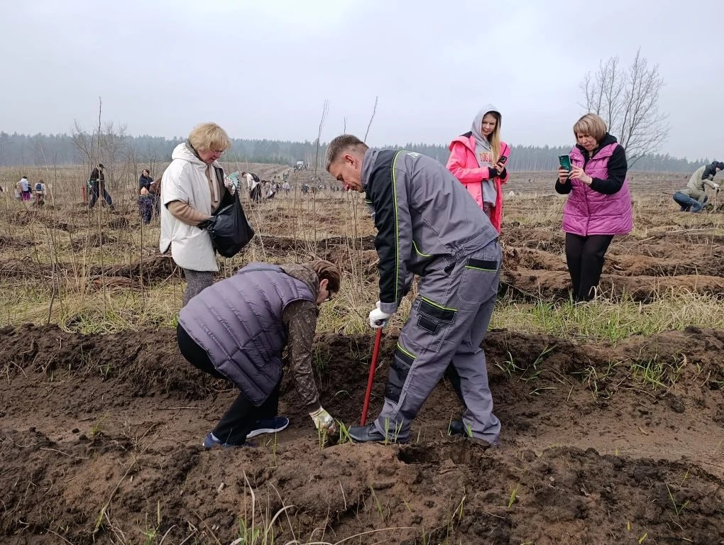 Восстановим и вырастим лес вместе!