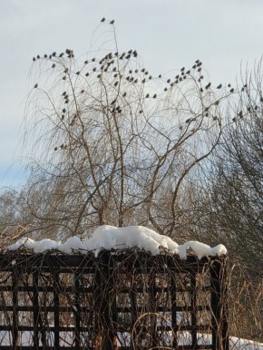 �������: ������������� �������� ��� ������ ����