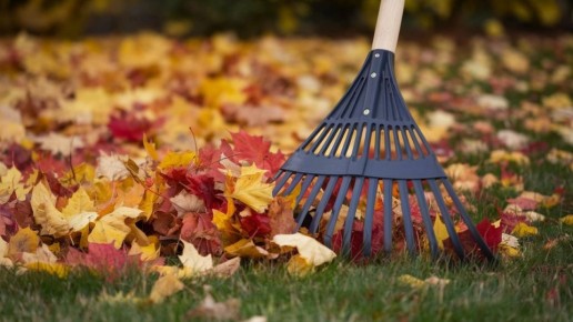 Почему осенняя обработка сада — ключ к успешному урожаю?