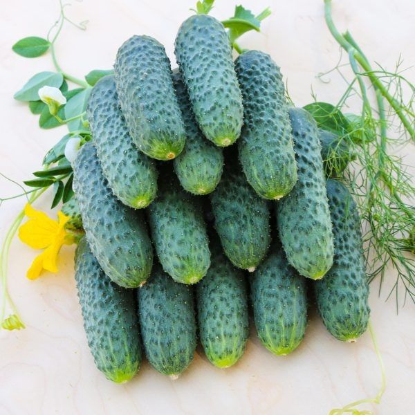 ������ ������: ������ ������, ��������� ��� �����������