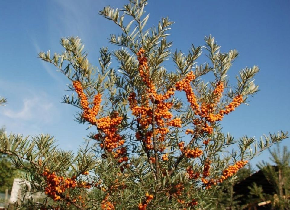 ����� � �����������: ������� ����� �� ��������� ��� �������� ������