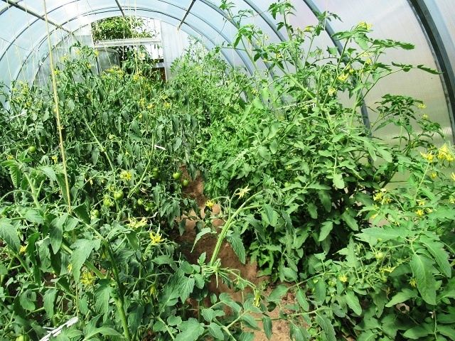 ��� ���������� � ������ ������� �������: ������� ��� ��������� ������