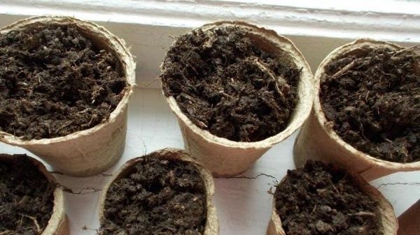 ��� ������� ������������ ��������������� ������ �� 7 �����