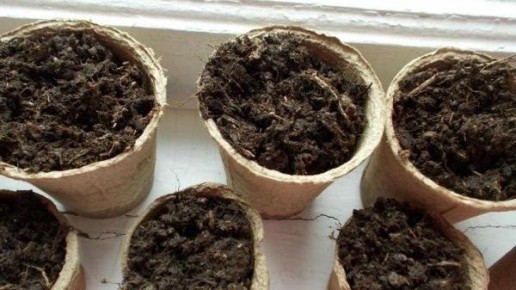 ��� ������� ������������ ��������������� ������ �� 7 �����