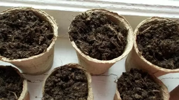 Как выбрать качественные гранулированные семена за 7 минут