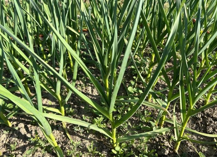 ������ � ����: ������� ��������� �����