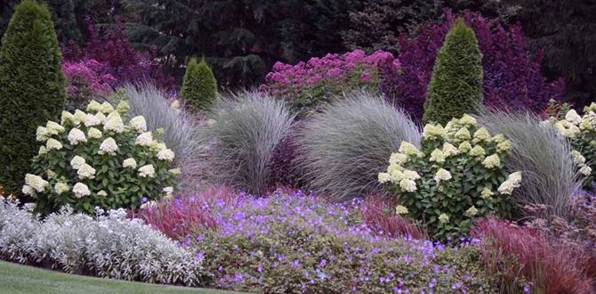 �������� �������������� ����: ��������, ������� ��������� ������� �� ���������� ����� ����