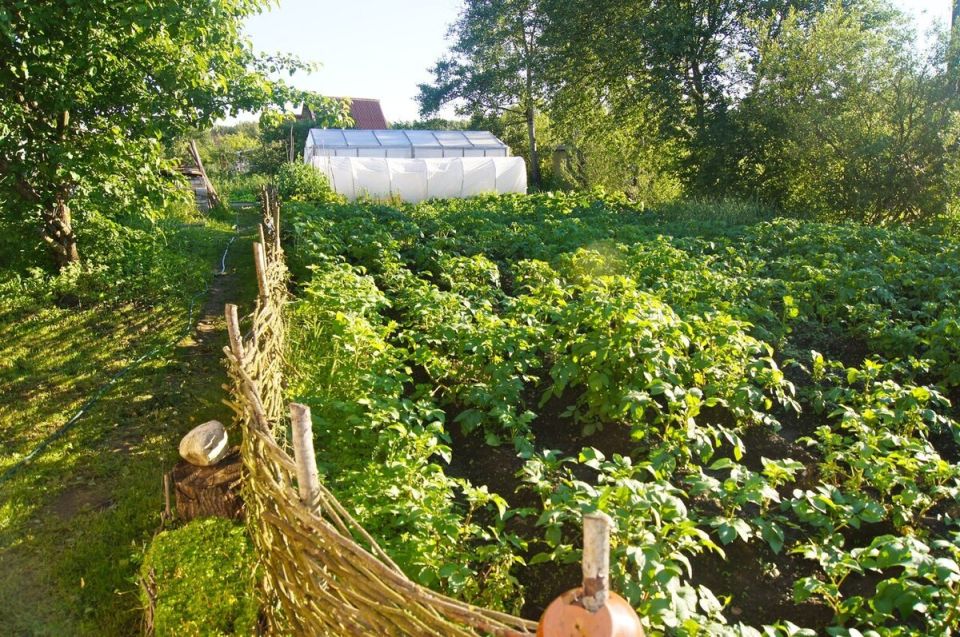 ����������� ������� �� �������� ��������: �������� � ���� � ����� �����