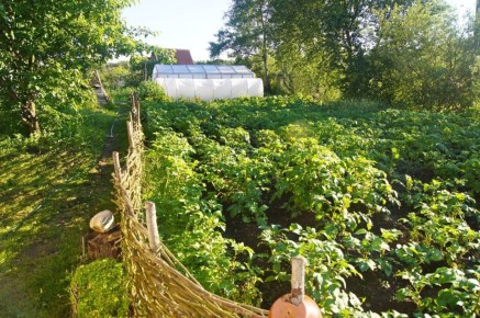 ����������� ������� �� �������� ��������: �������� � ���� � ����� �����