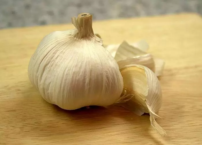 Эко-решение для вашего огорода: как избавиться от тли с помощью природы