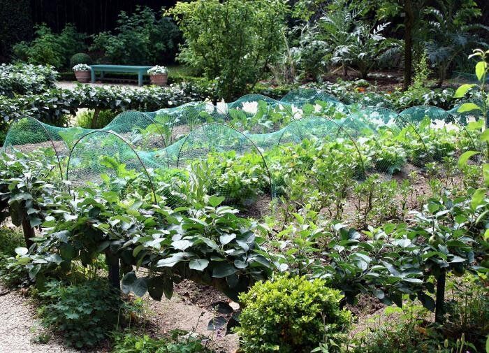 ���� ��� ����������� �������� ��� �����������