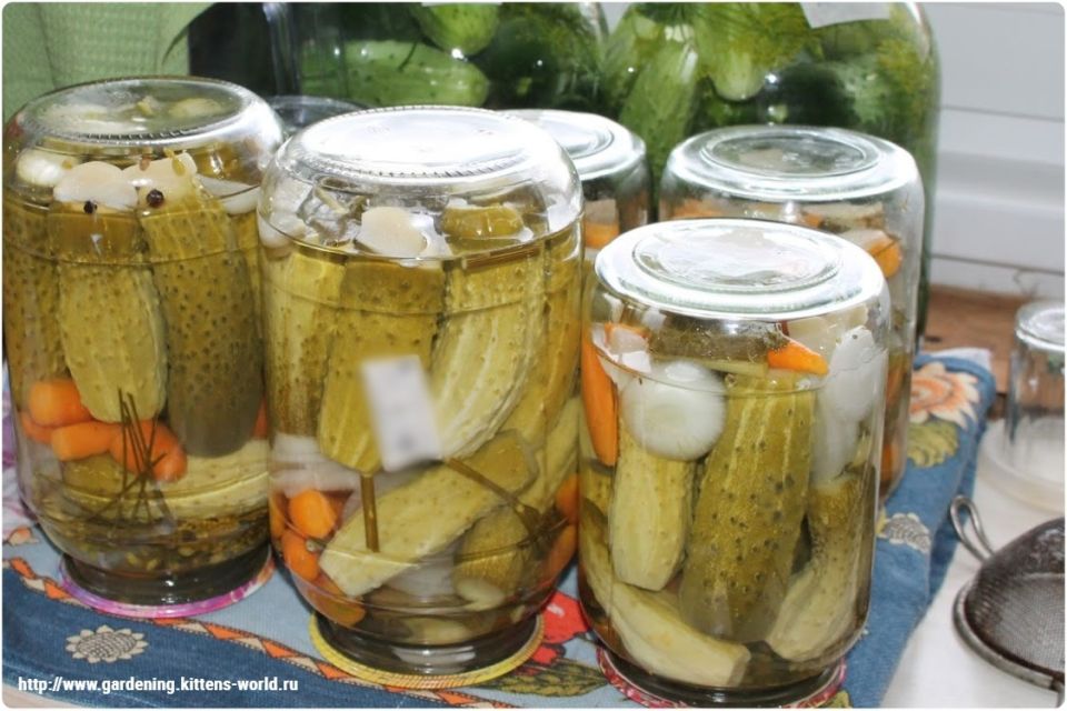 ��������� �������� � ��������: ����� ������� ��� ������ ���������