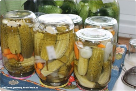 ��������� �������� � ��������: ����� ������� ��� ������ ���������