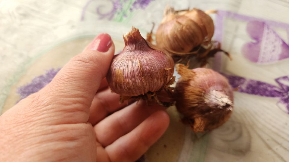 ����� ��������� ��������: ����� ��������� ���������� �� ���������?