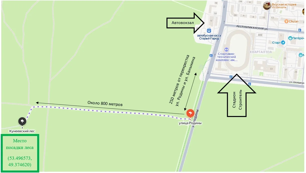 На посадку леса – все вместе! На посадку леса – все вместе!