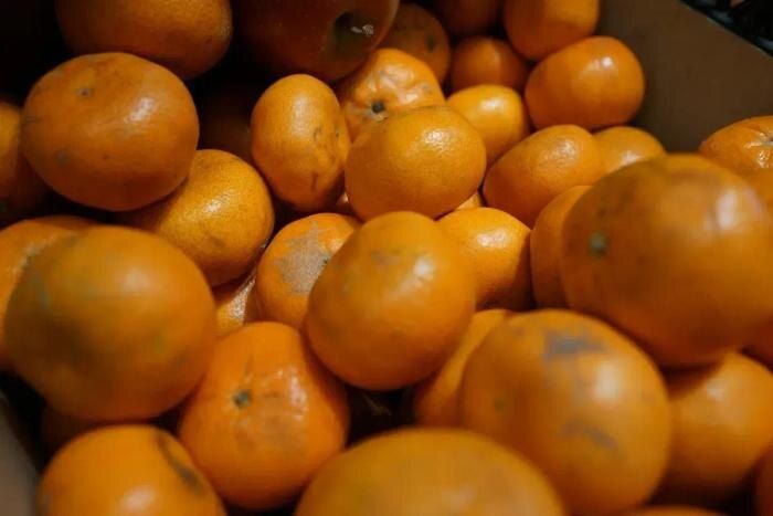 ������ ��������� ��������, � ������ ���������� ��������: ������ ���������� �������