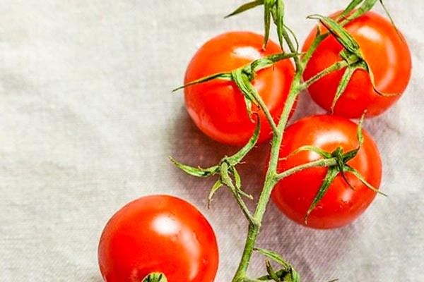 ������ �������: ��� ��������� ������� ������ ���� � ������� ��������