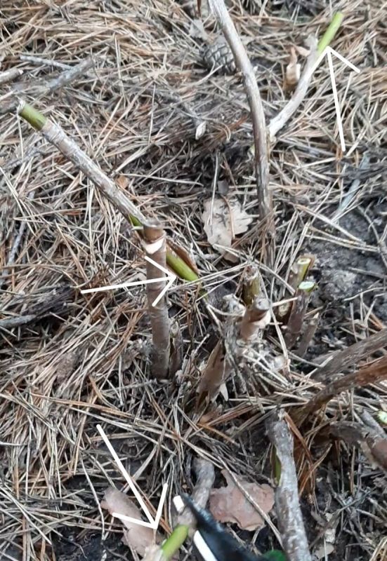 ����� �������� ������������ ���������? �������� ��� ���������������!