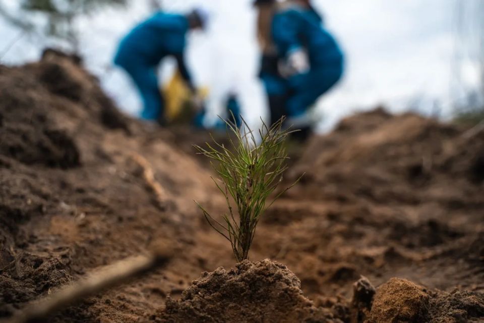 �� ������� ���� � ��� ������!