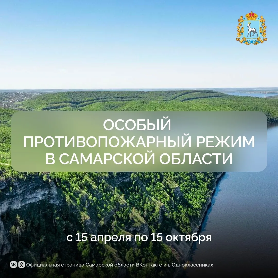 Можно ли ходить в лес? В Самарской области введён противопожарный режим для его защиты