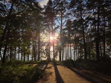 Осторожно: клещи!. Весна - время пробуждения природы: