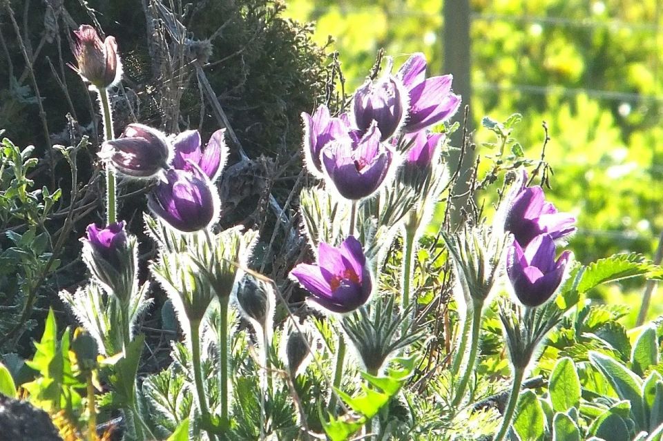 15 ������ � ���� ������������� ������!