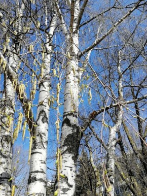 ������, ��������! . ���������� � �������� ������ ���