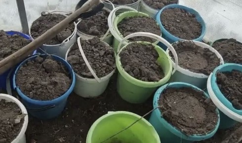 ������� ������� ��������� ������ ��� ������� �������: ������ �� ������� ���������