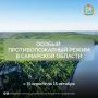 Можно ли ходить в лес? В Самарской области введён противопожарный режим для его защиты