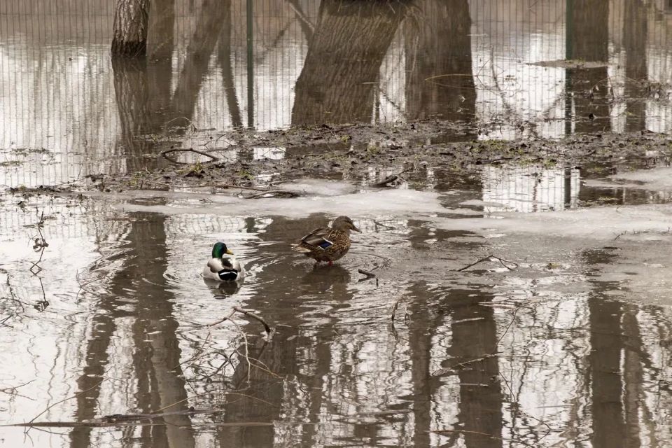 � ��������� ������� ������������� ����������� ���� ������ �������� � ������� ������