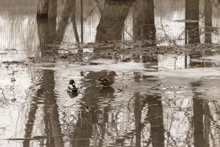 � ��������� ������� ������������� ����������� ���� ������ �������� � ������� ������