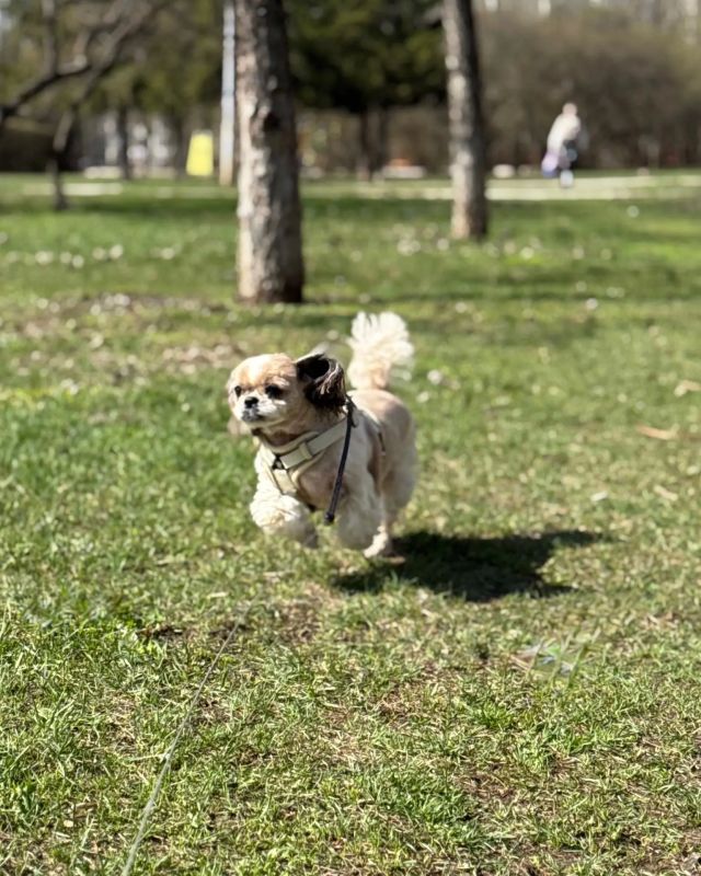 ������ � ������������� ��� �����: 3 ������� ������������