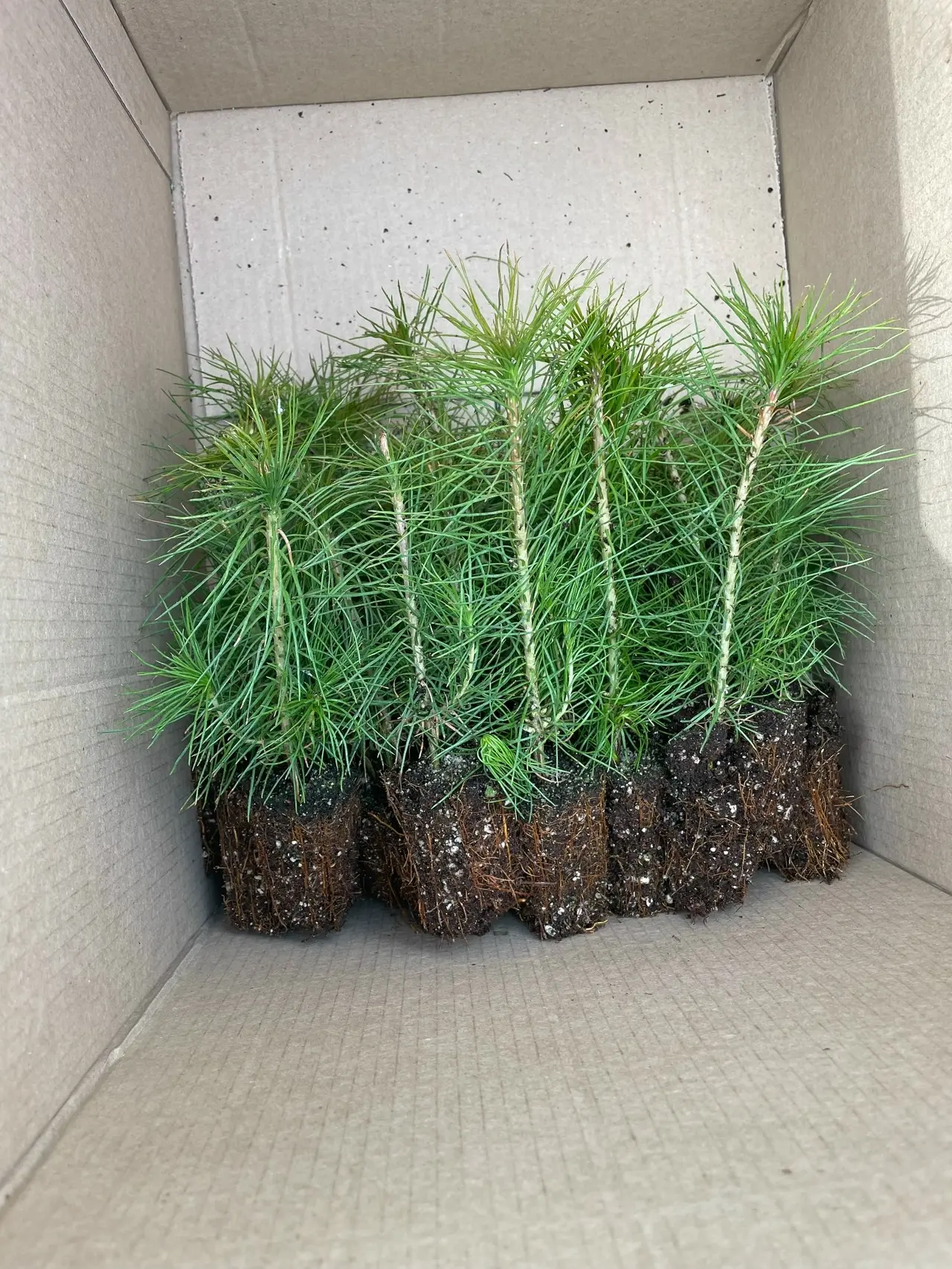 В администрации Тольятти прошло заседание экологического совета В администрации Тольятти прошло заседание экологического совета