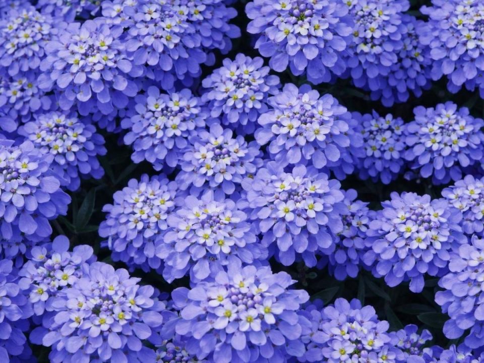 ������� ���: ��� �������� ������� ������ � �������� ��������