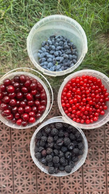 ������ ������� �����, ������� �������� �� ���������� ����